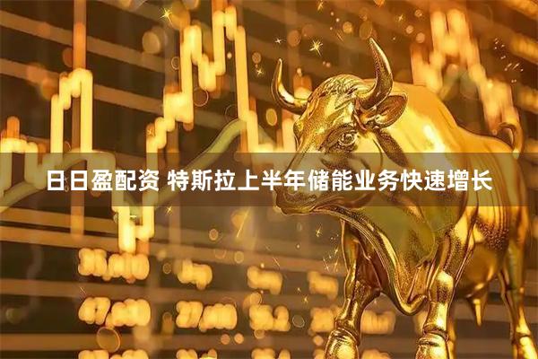 日日盈配资 特斯拉上半年储能业务快速增长